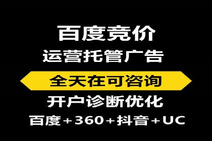 行业领先企业的关键词竞价排名实战案例